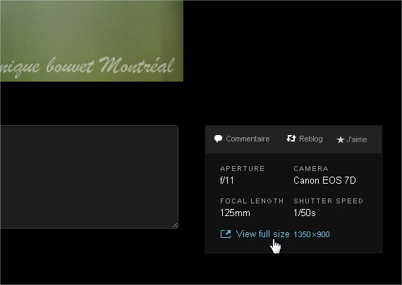 Du végétal  Fan2numérique - Google Chrome3