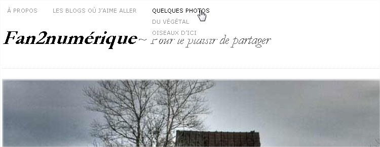 Fan2numérique  Pour le plaisir de partager - Google Chrome