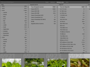 portfolio - Adobe Photoshop Lightroom - Bibliothèque
