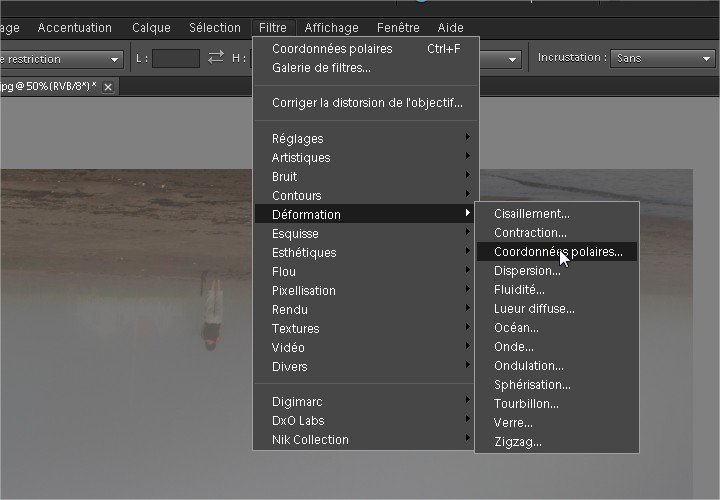 IMG_1363-6.jpg @ 50% (RVB8) _2