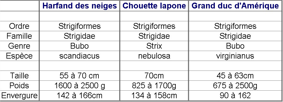 Microsoft Excel - Book1